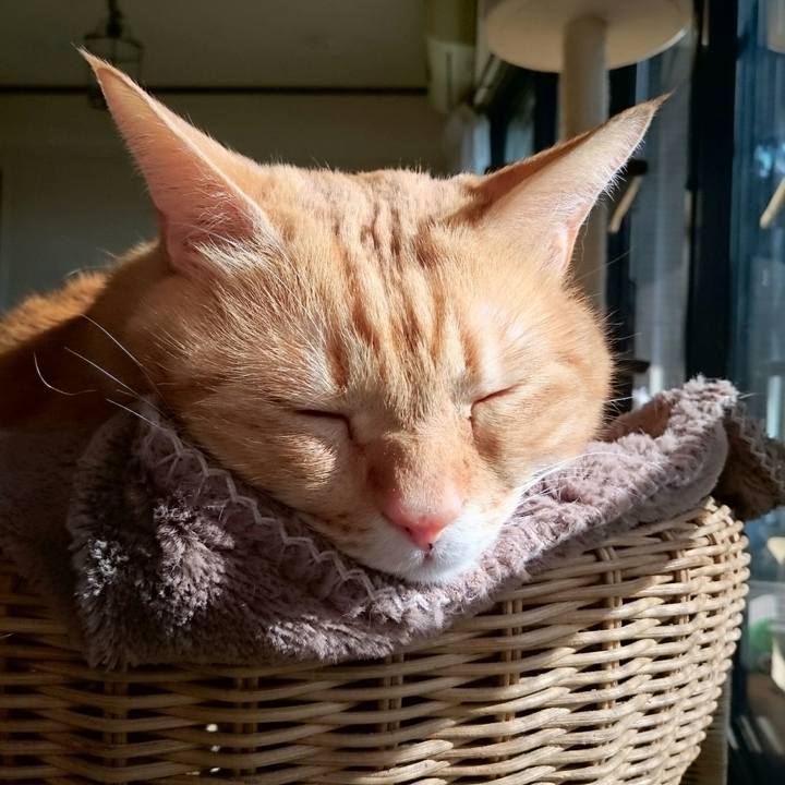 6e449b5a 6ffe 4967 b6bb ffcb7b160a18