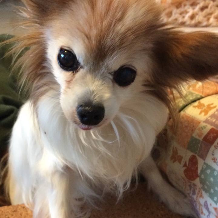 6e44c99f 2dce 4395 866c 1a0e154b7d0c