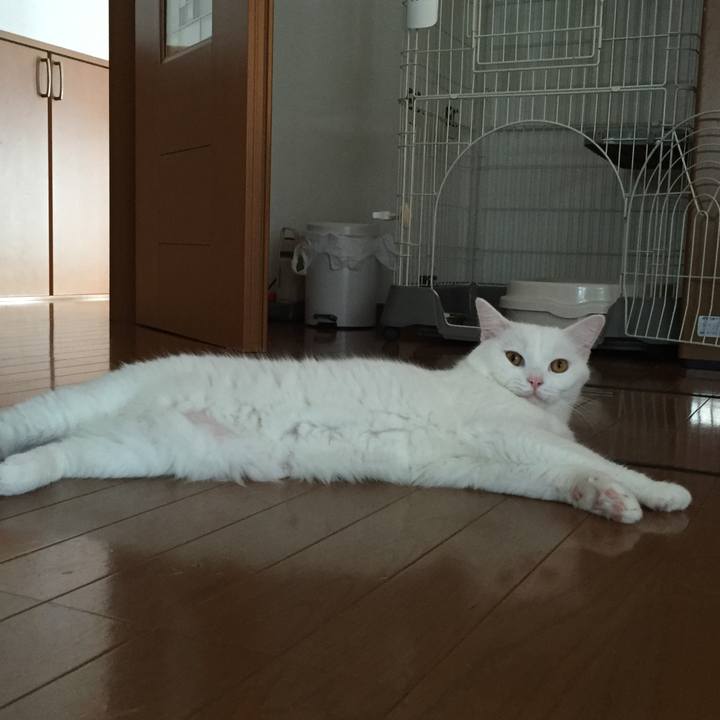 6e45b40e 2e75 432e 9eaa 1e4c258834a8