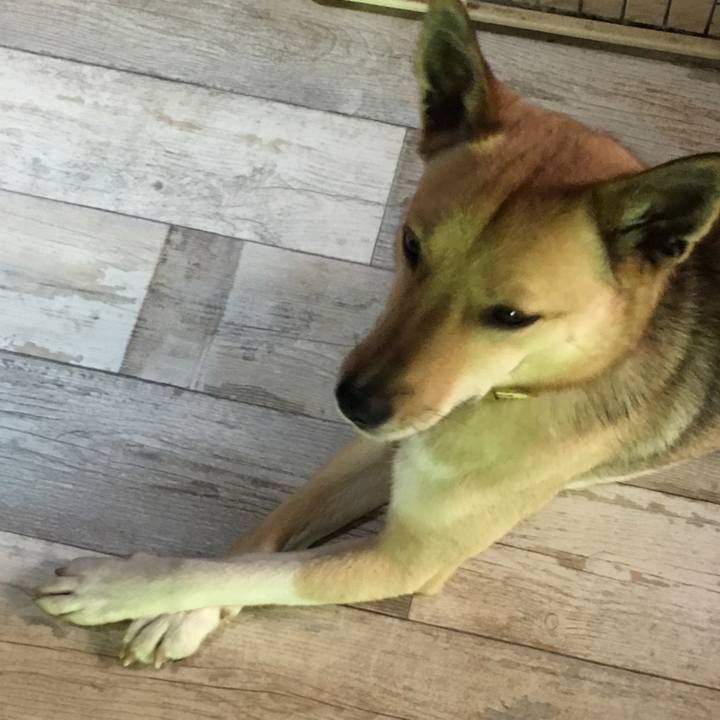 6e474677 e71b 4a84 88be d151482b5332