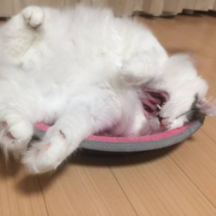 6e476716 e486 4082 a1d3 3654c4ade961