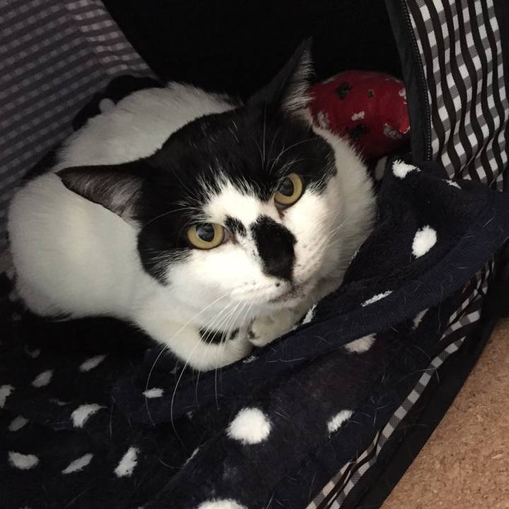 6e4767f7 57dc 48b7 8f54 782c3e567715