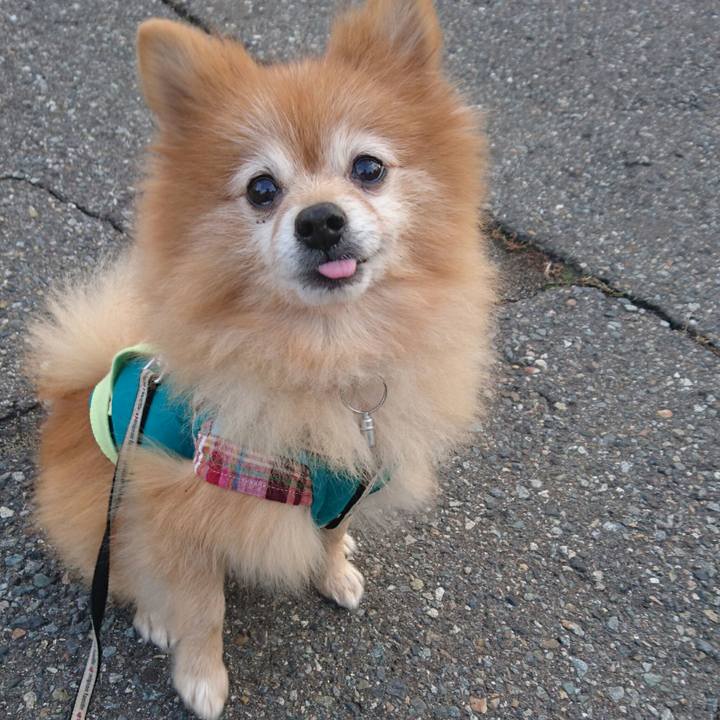 6e47f871 9681 4ae2 b704 bba6a61deebe