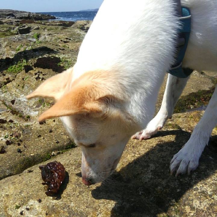 6e484b43 3b91 4e1a 8d28 19a60182ac51