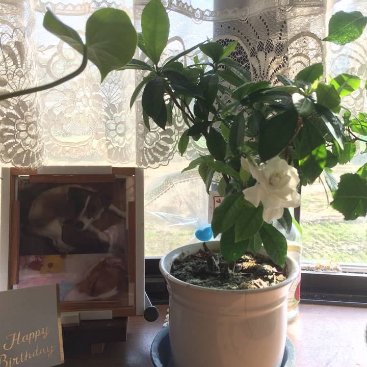 6e48d29e 2e56 4531 91bf 29b30ce443b7