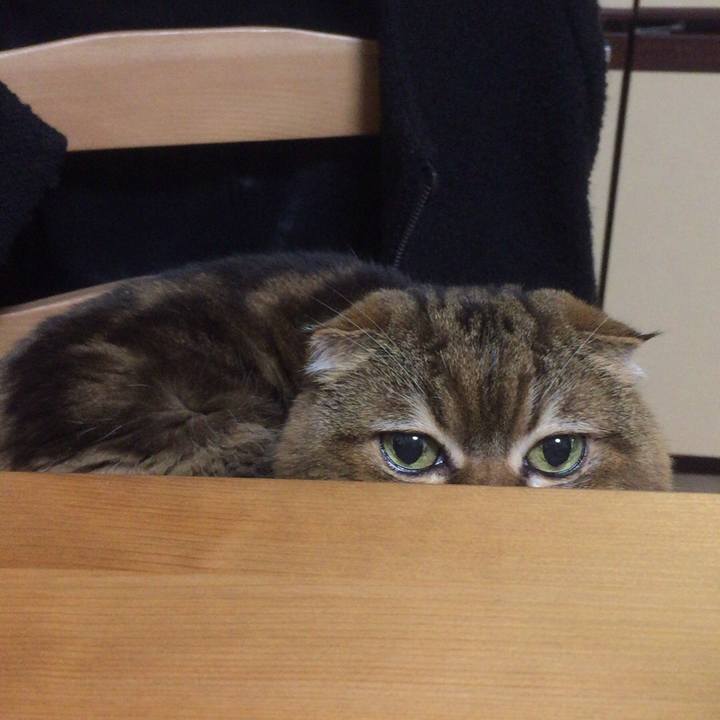 6e491403 cd7f 4bb1 b042 54931f4ded60