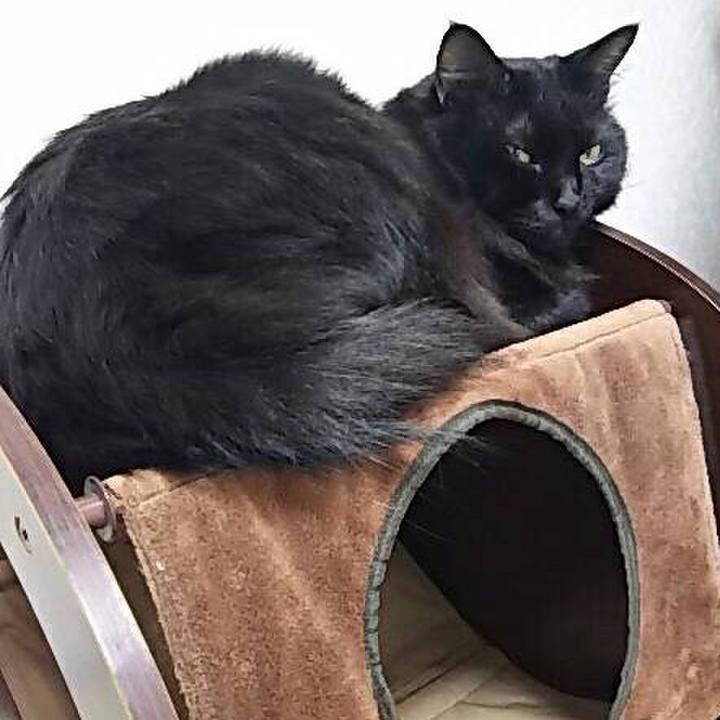 6e4944c8 b37a 4018 b166 08671555f849