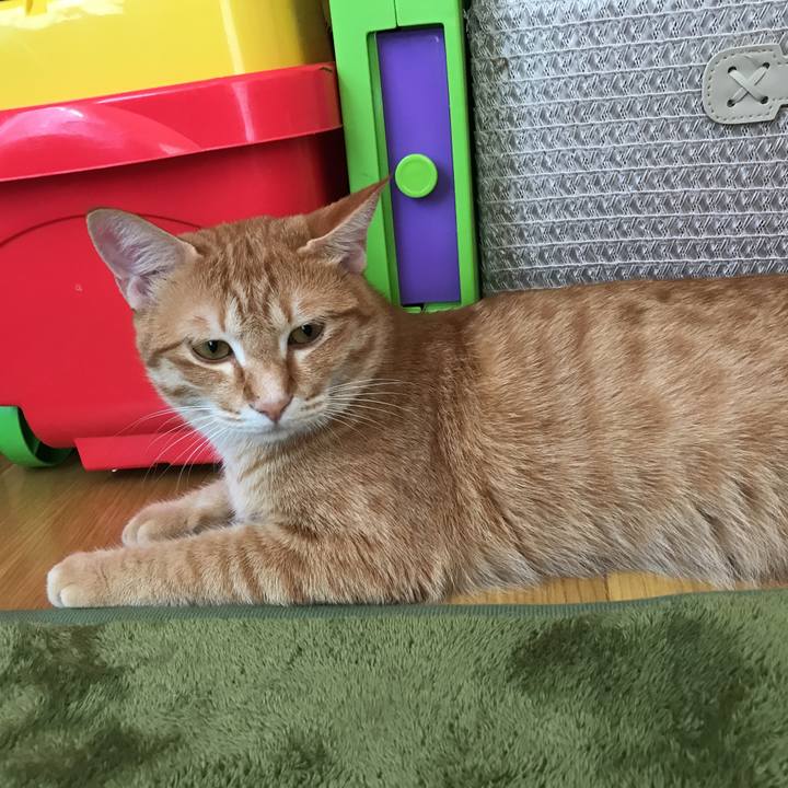 6e4acee3 e2f3 4bbd 8f15 a4b4df1cd55b