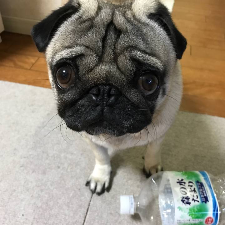 6e4b9b4e 2edd 4920 a837 9d0863d7651f