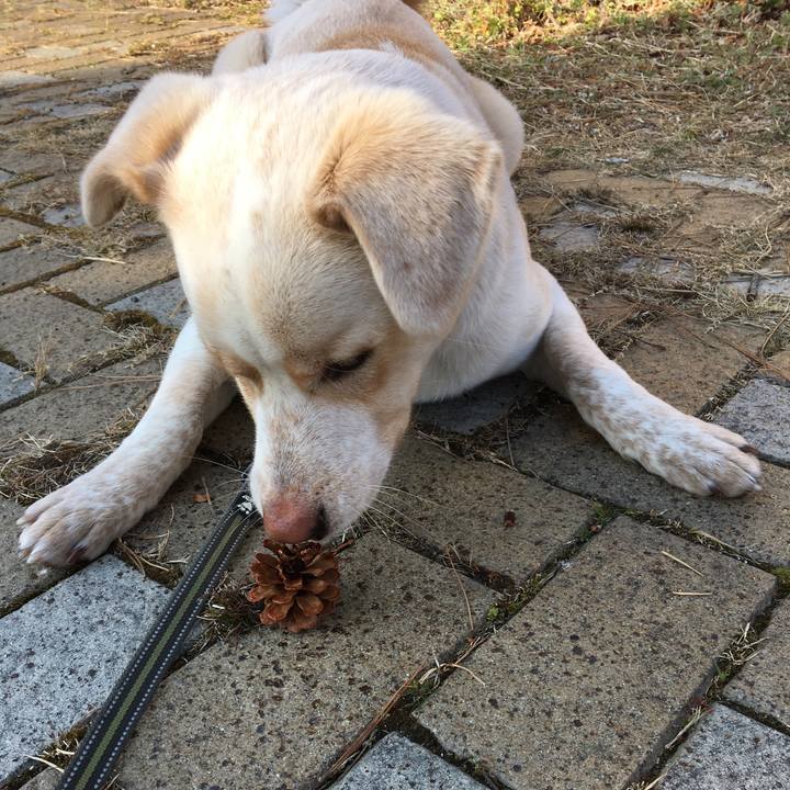 6e4cfc3b 4d39 4b72 b0e6 5d096e4c60ef