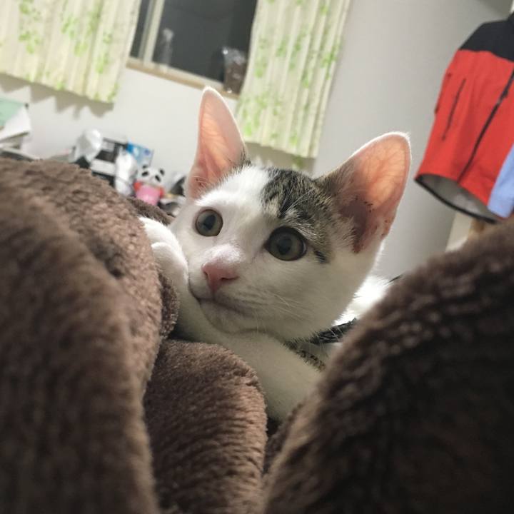 6e4d4f7a b887 4402 b952 e2d10b701746