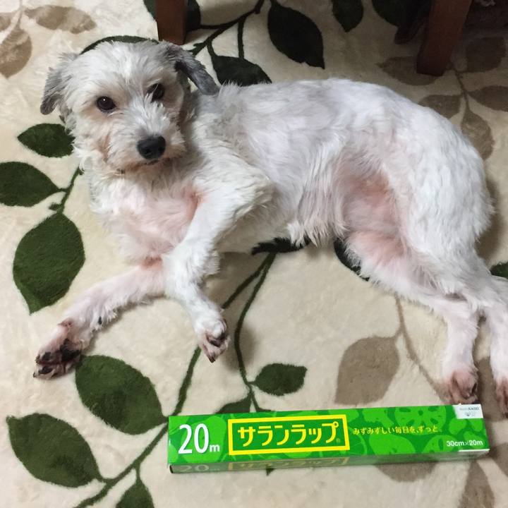 6e4ee060 70c9 4d2d 9fcc 2ec85c2b80ef