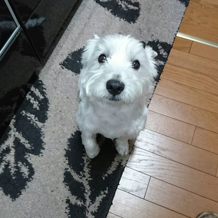 6e4f8cdb e085 4a5b a103 6071177aa7de