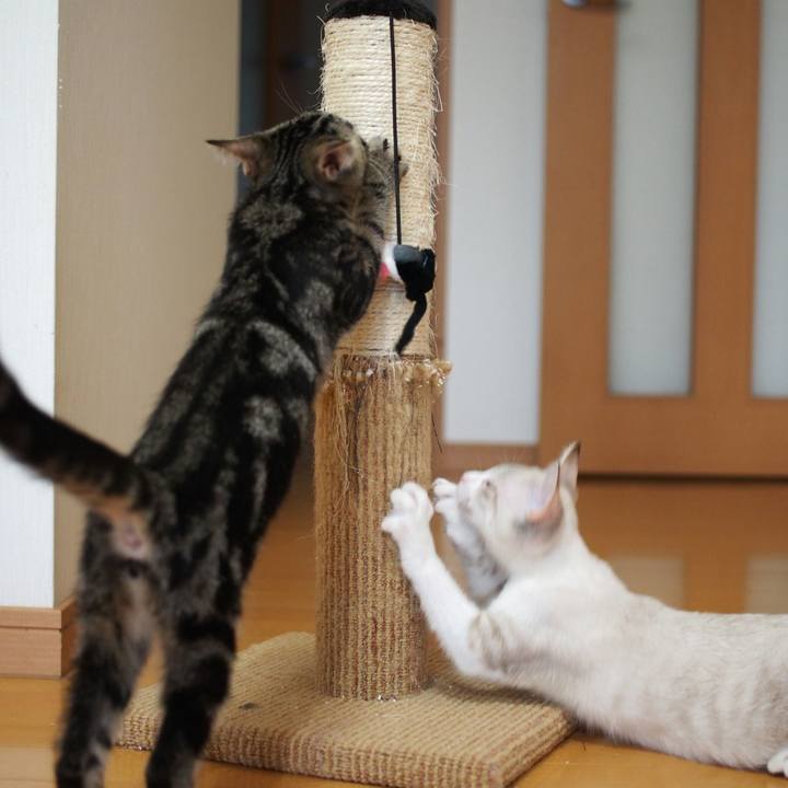 6e4fc605 b1a5 47f8 9c25 abde4a4d86df