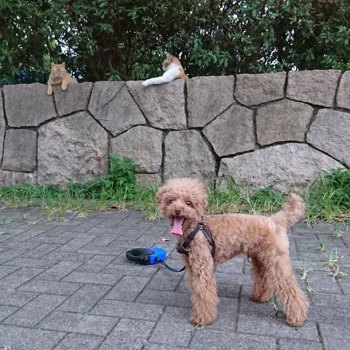 6e4fc69d 1a4f 4477 ba6d 59933e865e5c