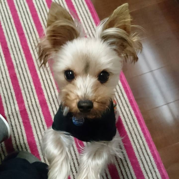 6e5035dc 0522 4f80 8f71 7e88e89d3cfd