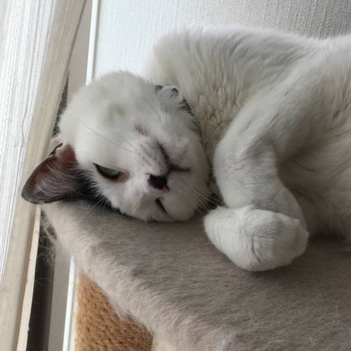 6e5037af 1646 4e1e aec1 02005f9cafc5