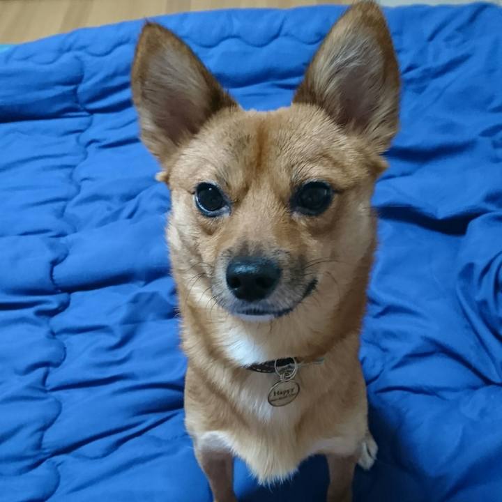 6e505116 614a 49f2 9fe8 9590a86130db