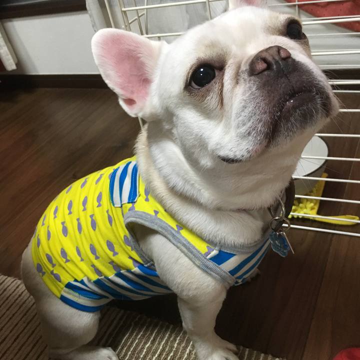 6e50843e 9d33 4a11 9bee 3aa836876eeb