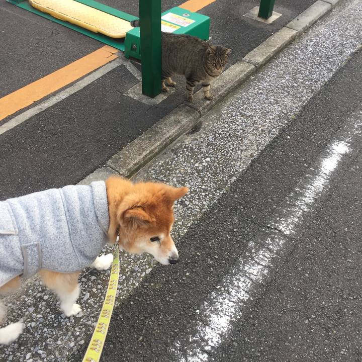 6e50befe e4c5 46d0 afe0 494d12cd2d44