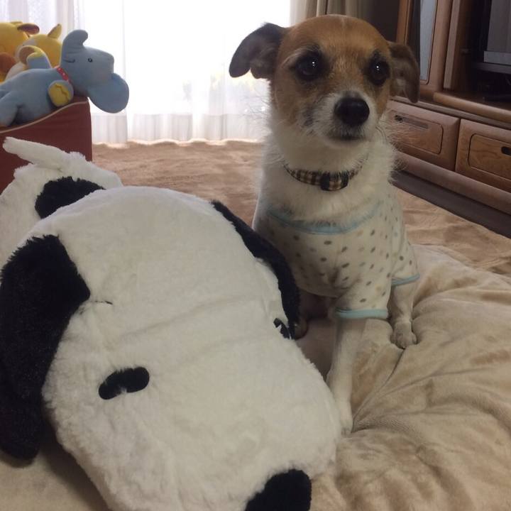 6e51a0d3 1033 4c2b a669 243434c51dcf