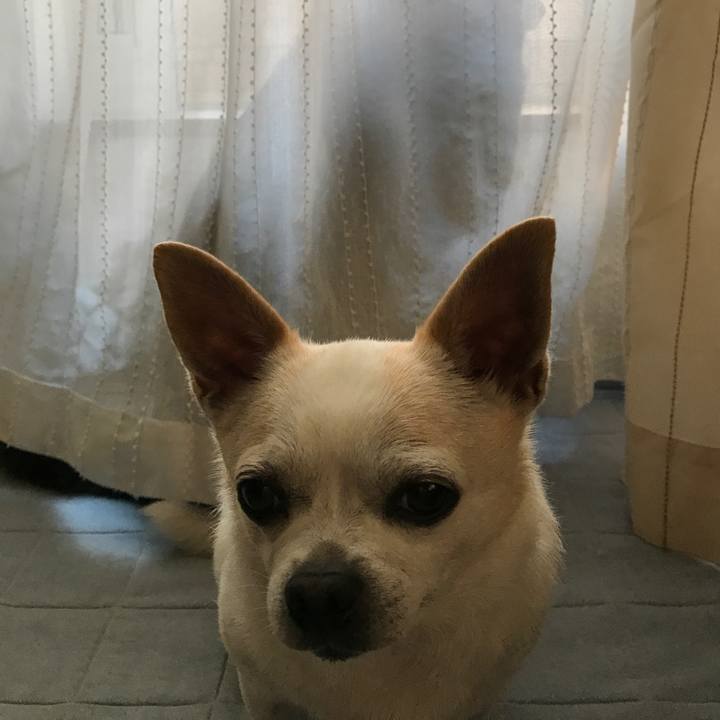 6e51ed5c 9c82 491b b821 6922e339c589