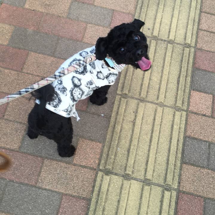 6e51f971 739f 49e0 92e2 38475a10932d