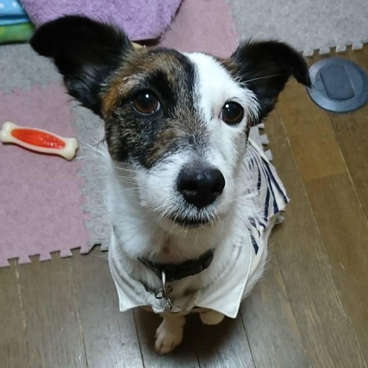 6e5215c0 7f0f 4eae b5f8 ae82fee84d36