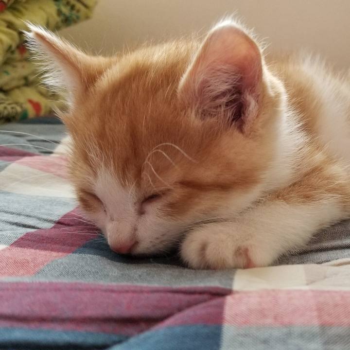 6e533c2e 7e72 4ecb a7c3 90c55e64dea6