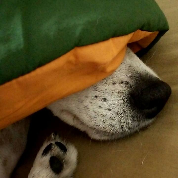 6e54abb2 e964 499b 8a9d 6f4ed7135050