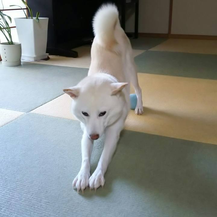 6e54c873 8164 4018 a0b7 f0af9f100acd