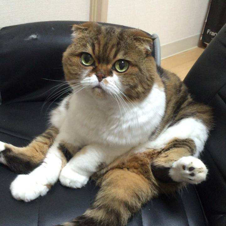 6e552c61 13da 405d 8f06 82ce40b4a848