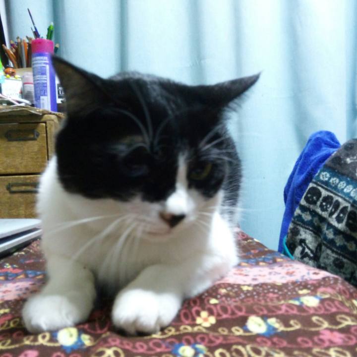 6e55a6f8 f0d6 46c1 ac74 dbd431d4bc49