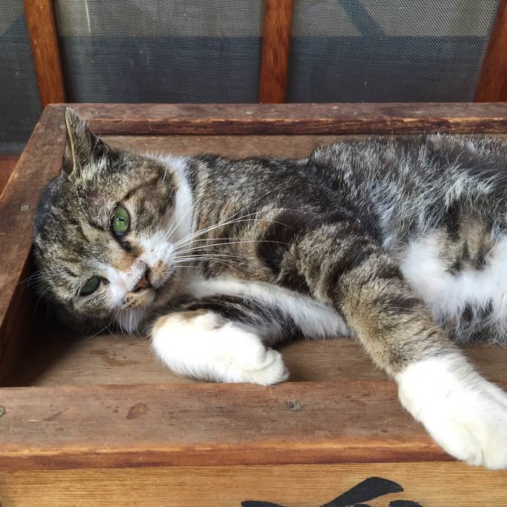 6e55cfd6 82b9 4d2f 9e50 b33b2888cda0