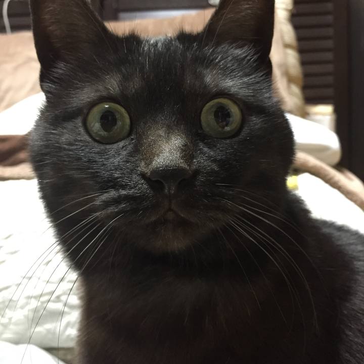 6e560243 9019 4af4 8110 a0d55aa6a306