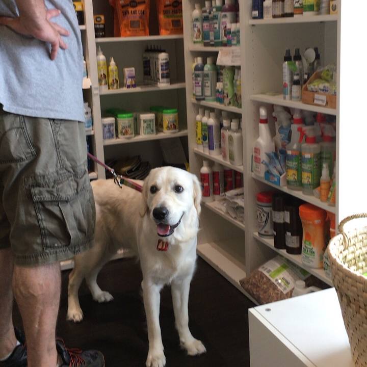 6e561c06 e7c3 46cf b4e5 4e3dadff9c23