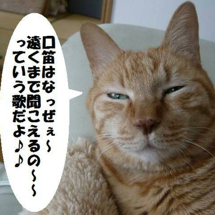 6e564a51 29d7 4e70 8aa6 9547f241c8fe