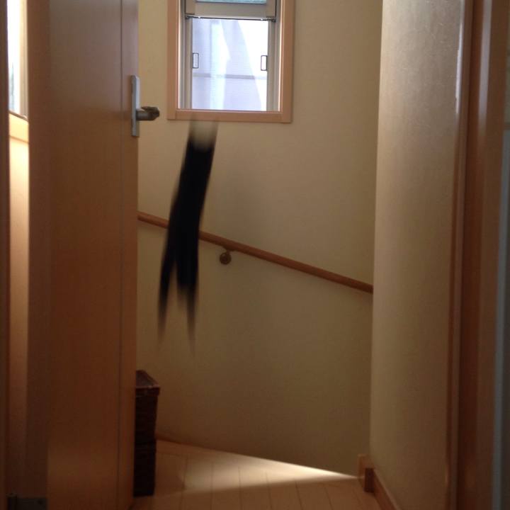 6e56a7c1 a6f2 4ced 9a7b 89364f719b24