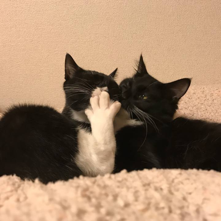 6e56d773 40c0 4477 a3a2 8236fd1c9b27