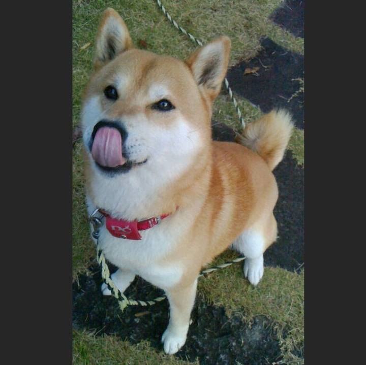 6e572f25 b4f8 4333 9fe4 148451ae9e77