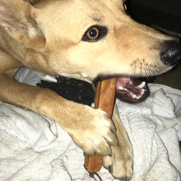 6e57da4b fb44 40ae 8af3 16cd87df0852