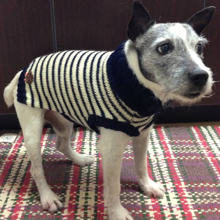 6e57f83f fca7 4733 8a49 95c214a09fc2