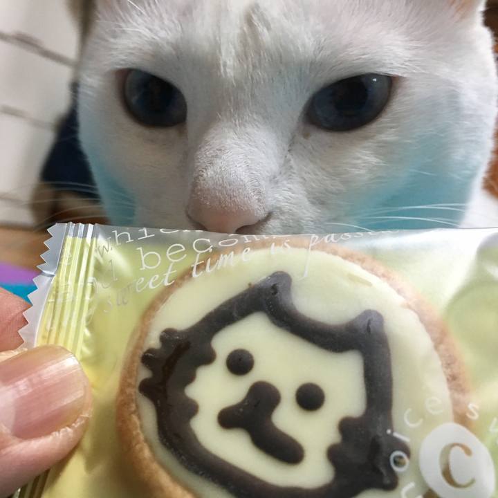 6e58cb68 a44e 4196 9b44 f6aac054c381