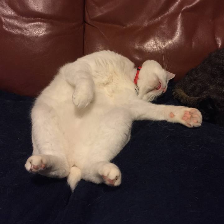 6e590d8f dbd0 4885 9c00 7ac0b9ce6667