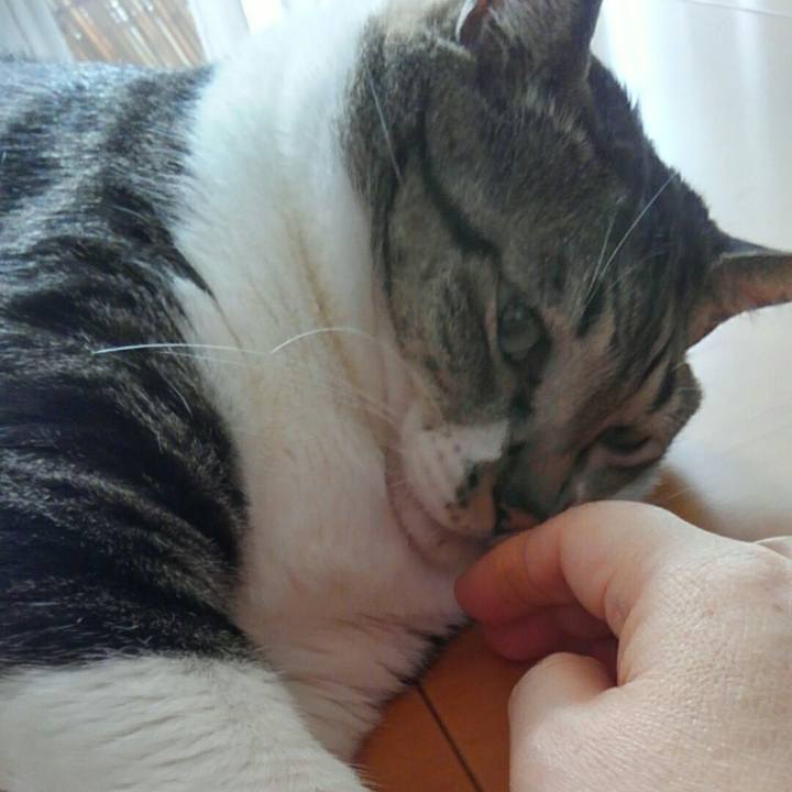 6e597b48 7262 46d4 9e96 7c0f2b4eb3e3