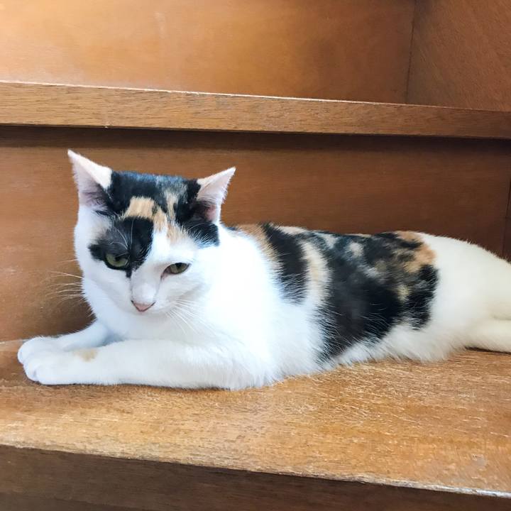 6e5a3df9 0cec 4e98 9670 64939a742af3