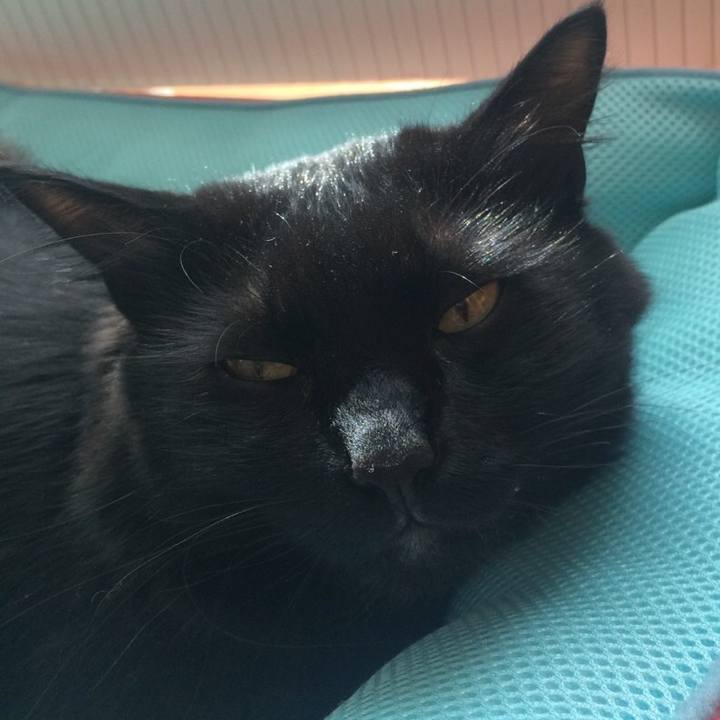 6e5af355 a0c4 4f7c aefc 9b3296bafcb5