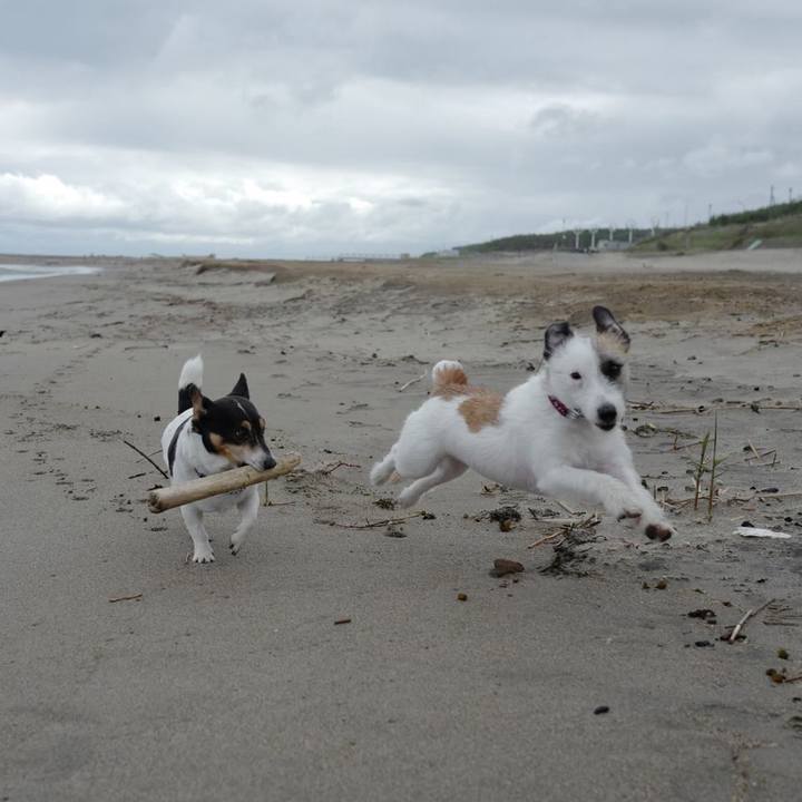 6e5b323d f954 4743 9ef3 70331f11e0fc