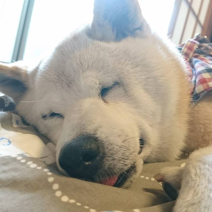 6e5b4d70 4e85 4d30 ba9d cc8bc558753a