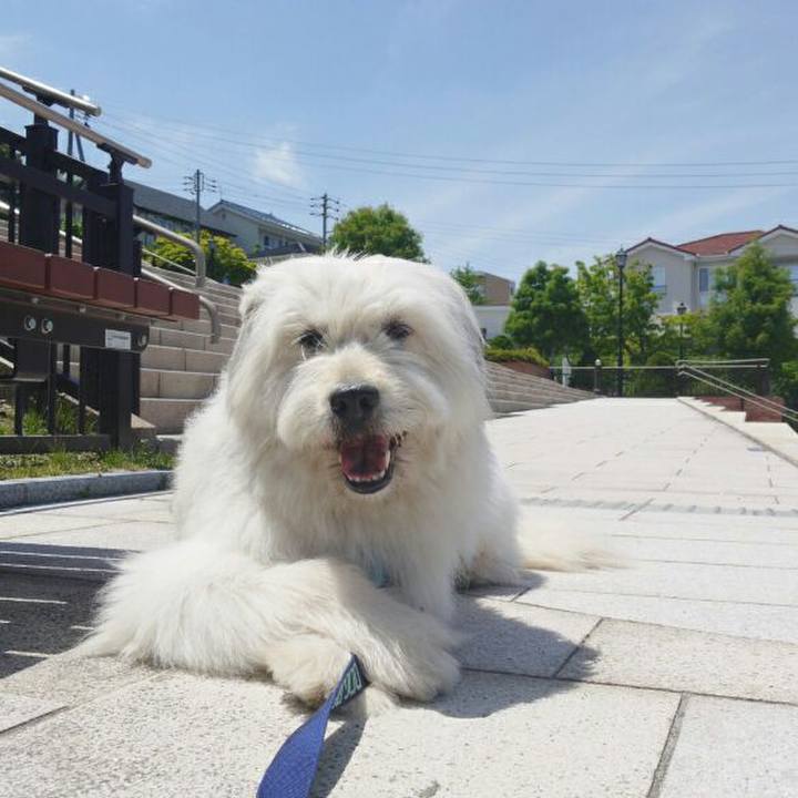 6e5c6afc 111c 4cb0 b038 91a7a9748eaa